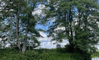 Купить дом, Каменка, Центральная ул., 25, 24.99 соток. Фото 23