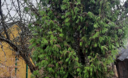 Купить участок, Городняны, Горный, 7, 9.11 соток. Фото 1