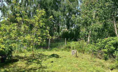 Купить участок, Ветеран-3, 5.05 соток. Фото 3