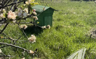 Купить дом в деревне, Черняны, Чернянский с/с, 25 соток. Фото 18