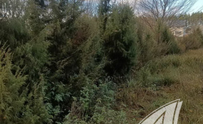 Купить дом в деревне, Горошковка 1, Каменюкский с/с, 25 соток. Фото 31