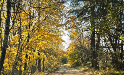 Купить дом в деревне, Тонус, 11 соток. Фото 29