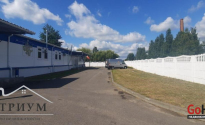Продажа помещения, Березино, Победы ул., 49/А, 782.1 кв.м.. Фото 4