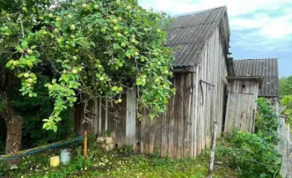  Купить дом