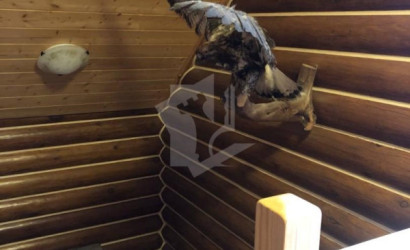 Снять дом, Минск, аг. Ждановичи, ул. Зеленая, 25/б, Минский р-н, Минская область. Фото 13