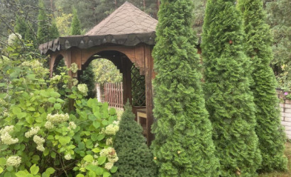 Купить дом в деревне, Дитва, 6.35 соток. Фото 3