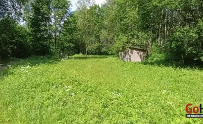  Олехновичи