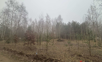 Купить участок, СТ Афган-2, 8 соток. Фото 2