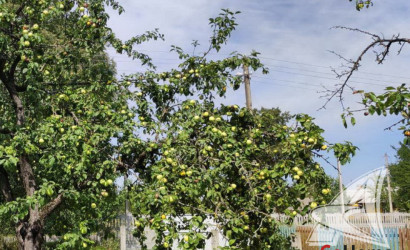 Купить дом, Ланская, Олтушский с/с, 24.82 соток. Фото 17