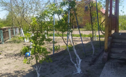 Купить дом, Сошно, Зелёная, 15.18 соток. Фото 6