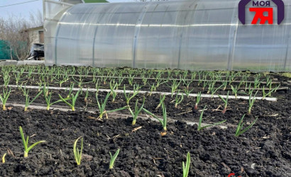 Купить участок, Новые земли, 7.52 соток. Фото 9