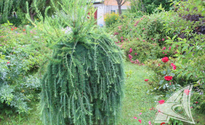 Купить дом, Клейники, Клейниковский с/с, 12.1 соток. Фото 15