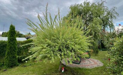 Купить дом в деревне, Строитель-96, 5.23 соток. Фото 4