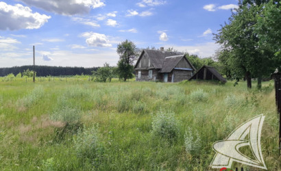 Купить дом в деревне, Рожковка, Дмитровичский с/с, 25 соток. Фото 16