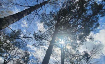 Купить дом в деревне, Факел-Третий век, 9.78 соток. Фото 32