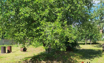 Купить дом в деревне, Загорье-1, 9.8 соток. Фото 6