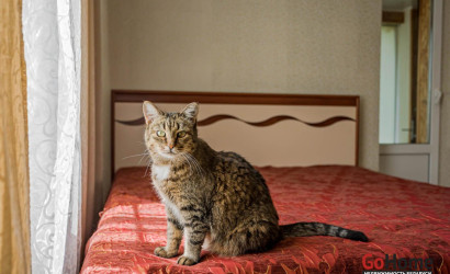 Купить коттедж, Марьяливо, Магистральная ул., 20 соток. Фото 24