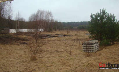 Купить участок, Суринты, 25 соток. Фото 5