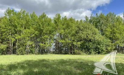 Купить участок, Малые Радваничи, Радваничский с/с, 25 соток. Фото 5