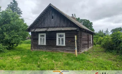  1-этаж.(46.7 м2), Коски