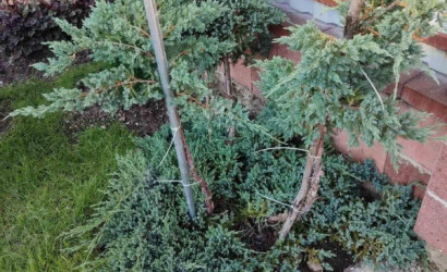 Купить дом в деревне, Метрострой, 5 соток. Фото 10