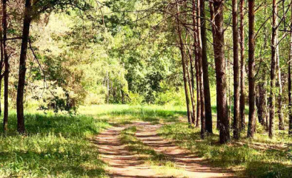 Купить дом, Замостье, Зеленая ул., 15 соток. Фото 13