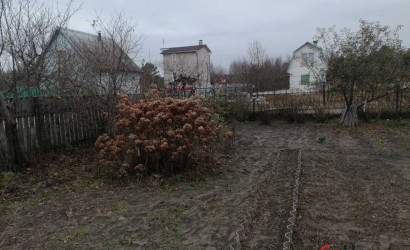 Купить дачу, Мозырь, Пеньки, 14 соток. Фото 4