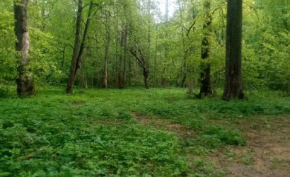 Снять на сутки дом, Альба, Полевая 6. Фото 2