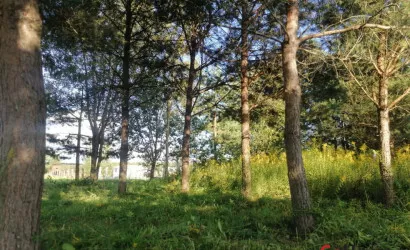  Кальники(43Б до центра 0.2 км / 2 мин)