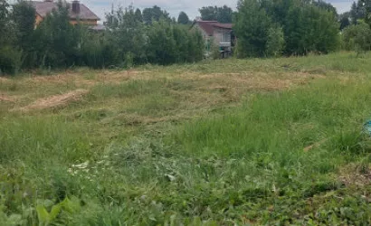  Заболотье(142-1)