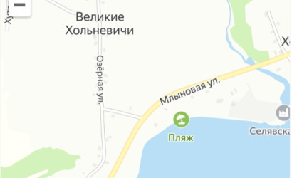 Купить дачу, Большие Хольневичи, Озёрная 34, 20 соток. Фото 1
