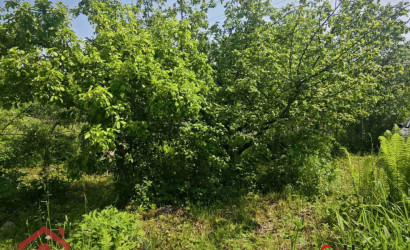 Купить участок, СТ Поляна, 9 соток. Фото 11