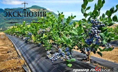 Купить участок, Гиревичи, 25 соток. Фото 34