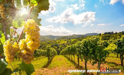 Купить участок, Гиревичи, 25 соток. Фото 33