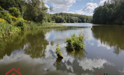 Купить участок, Мончаки, Центральная, 39, 24.92 соток. Фото 5