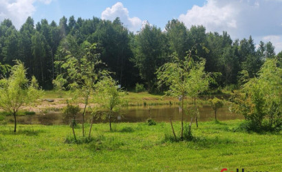 Купить 3-комнатную квартиру, Минск, Мазурова ул., 16 (Фрунзенский район). Фото 10