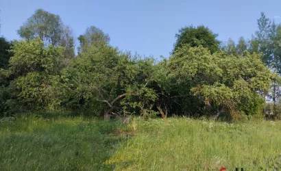  1-этаж.(42 м2), Вышедки(У)