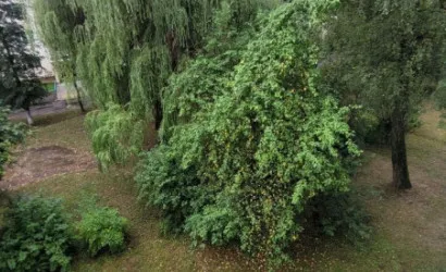  5-этаж.(84 м2), Барановичи(Рокоссовского)