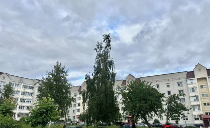Купить 3-комнатную квартиру, Гродно, Тавлая, 68. Фото 11