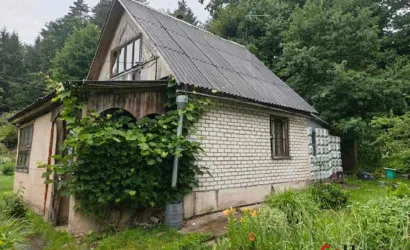  2-этаж.(53.8 м2), Ель