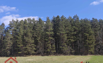 Купить участок, Вяча, Лесная, 20.07 соток. Фото 2