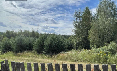 Купить дом, Ерхи, Центральная ул., 15.75 соток. Фото 6