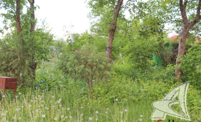 Купить дачу, Брест, Мухавецкий с/с, 4.92 соток. Фото 11