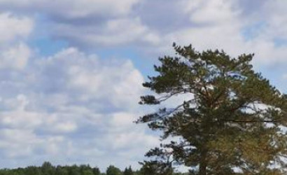 Купить дом, Артемово, Центральная, 25 соток. Фото 17