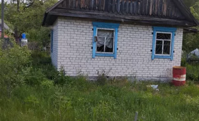  1-этаж.(55 м2), Микашевичи(Альбатрос, 1)