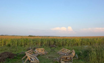 Купить дом в деревне, Малое Запрудье, Советская 19, 32 соток. Фото 2