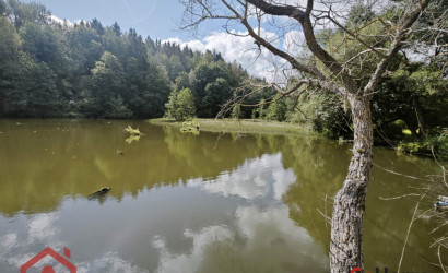 Купить участок, Мончаки, Центральная, 39, 24.92 соток. Фото 4