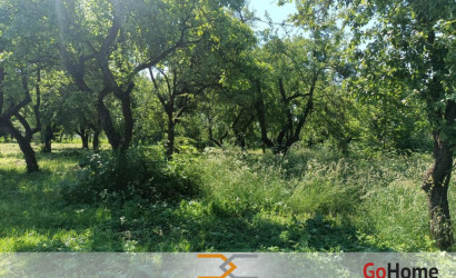 Продажа помещения, Ячево, 240 кв.м.. Фото 4