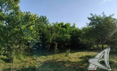 Купить дом в деревне, Чемери 1, Речицкий с/с, 24.62 соток. Фото 9