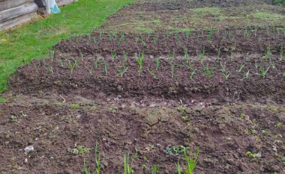 Купить дом, Острово, 18.45 соток. Фото 8